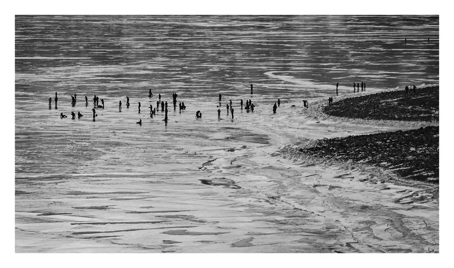 The Winter Shoreline