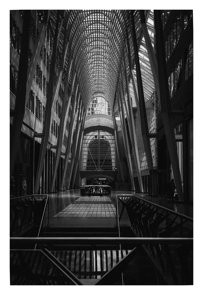 The Brookfield