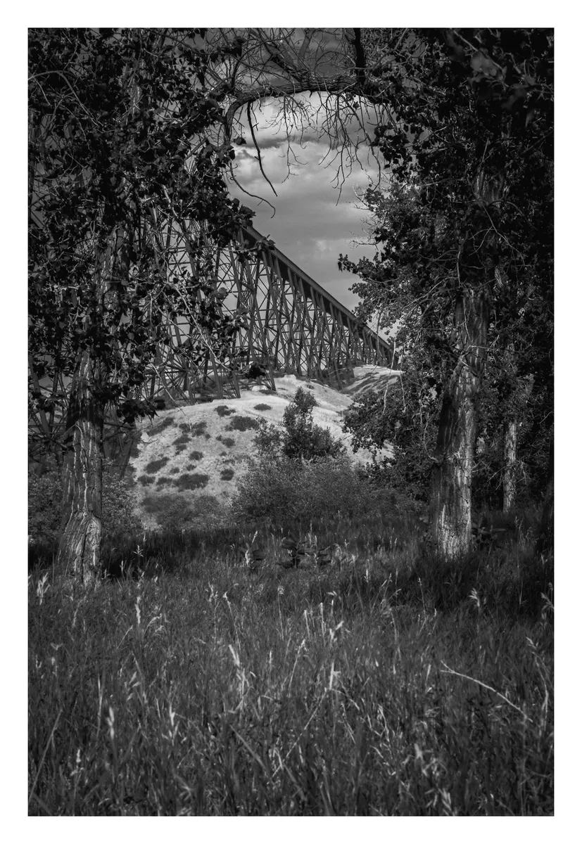 The Tressel Frame