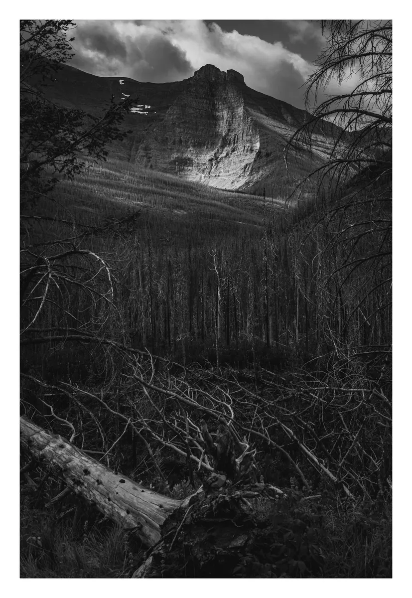 The Fallen